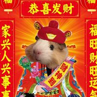 mouse._.www