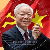 cauchuyenhoabinh.vietnam