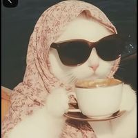 mrswaheed28