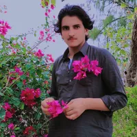 original sound - zahidtani2