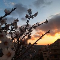 chebaa.lebanonn