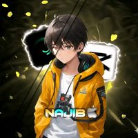 najib_ahmed007