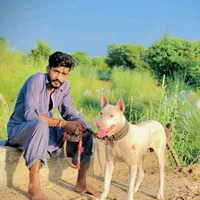 original sound - jawada__jutt_0