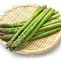 オリジナル楽曲 - キノコG🍄【るーでぃ組】