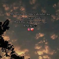 wrap_up2233