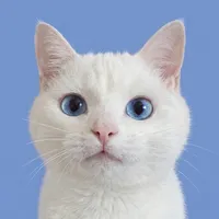 original sound - oosakaaaa