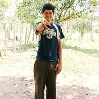 sonido original