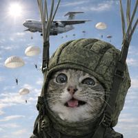 оригинальный звук