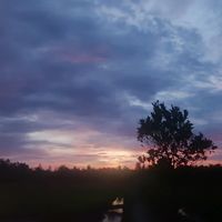 suara asli - hannn