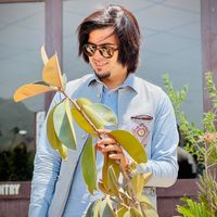 asadkhan3357