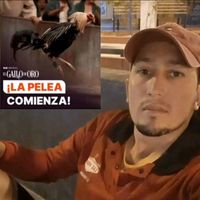 gelvis.pereira