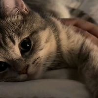 amelia.oliviea