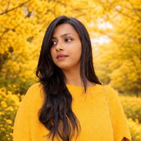original sound - Dinu Fernando