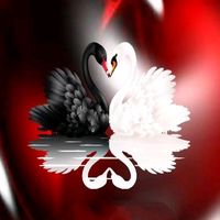 live_love85