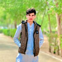fmasood733gmail.com