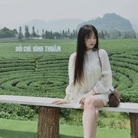 nhạc nền - tmeoo