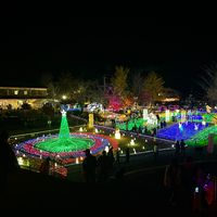 renn11219