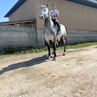 khadia01