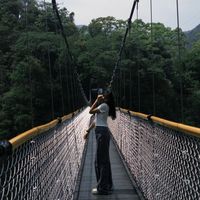 原聲 - LJAVAUS♡