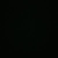 8989_ting