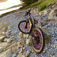 ebike.mayhem