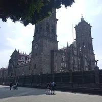 original sound - www.tiktok.irma.com8