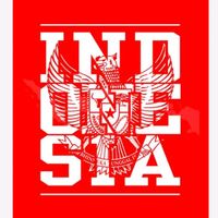 _.ballindomania