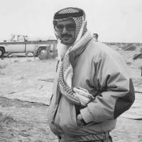 الصوت الأصلي