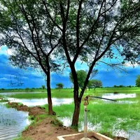 original sound - a.nepal3