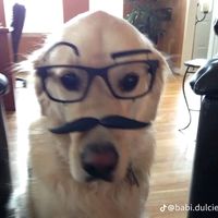 original sound - LoL_its_kendra
