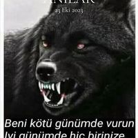 harun.mekan_34