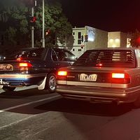 welcome to straya ya dogs