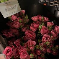 nhạc nền - thv🥀