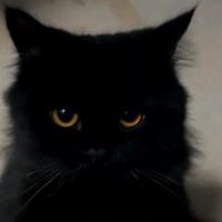 เสียงต้นฉบับ - abcde._.ar