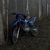 that_2022_ttr230