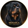 monarca.rott