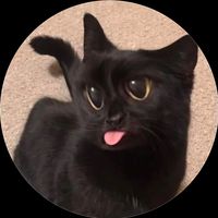 ampch.p