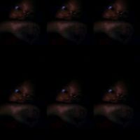 ing._.ornnn
