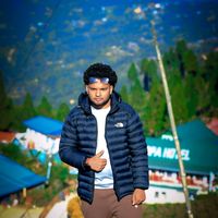 zyn_editz_