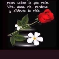 sonido original