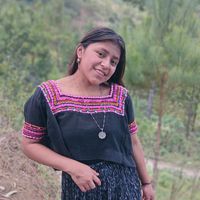 sonido original
