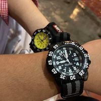 seiko9134