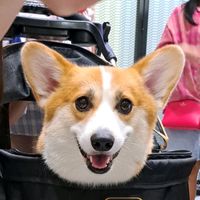 เสียงต้นฉบับ - aom_amam21.