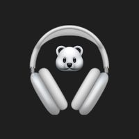 bearadio