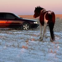 оригинальный звук