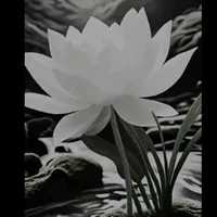 original sound - _suskunbayan_