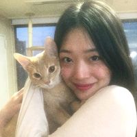 original sound - deardyet