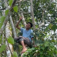 pasya_anugrah