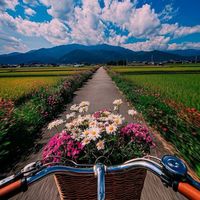 nhạc nền - ☘️TL☘️38k1
