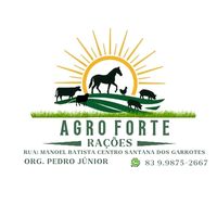 pedrojunior2816